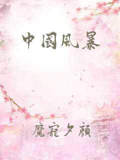 中国风暴