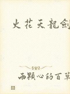 火花天龙剑