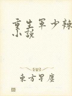 重生军少辣娇妻小说