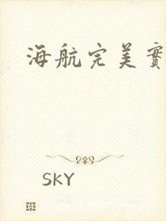 海航完美实习生