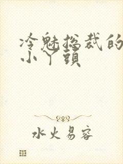 冷魅总裁的纯纯小丫头