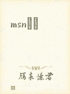 msnС˵