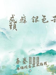 成瘾 银色子弹头