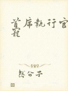 首席执行官的绝宠