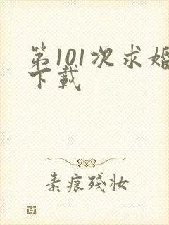 第101次求婚下载