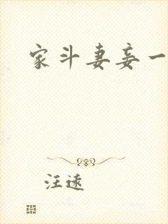 家斗妻妾一家欢