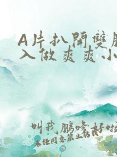 A片扒开双腿进入做爽爽小说