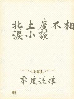 北上广不相信眼泪小说