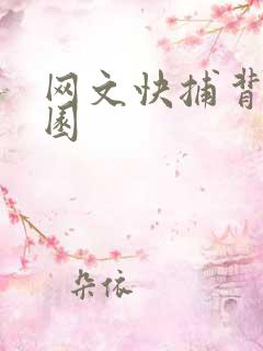 网文快捕背影家园