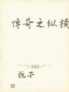 传奇之纵横玛法