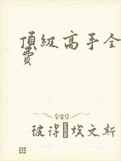 顶级高手全文免费