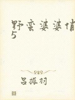 野蛮婆婆俏媳妇5