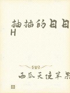 抽插的日日液液H