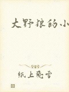 大野狼的小猫咪