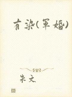 有染(军婚)