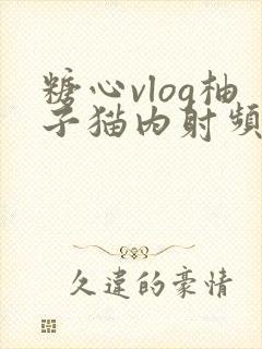 糖心vlog柚子猫内射频