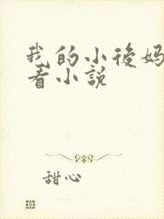 我的小后妈免费看小说