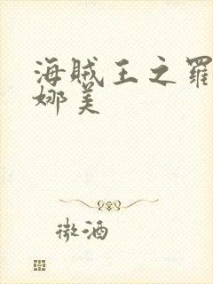 海贼王之罗宾h娜美