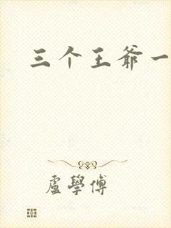 三个王爷一个妃