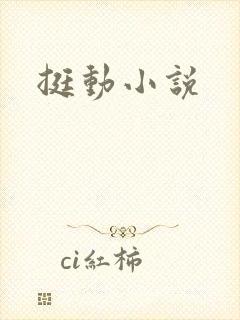 挺动小说