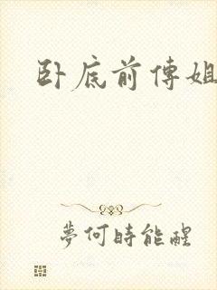 卧底前传姐妹篇