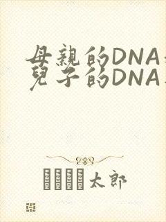 母亲的DNA和儿子的DNA是一样的吗