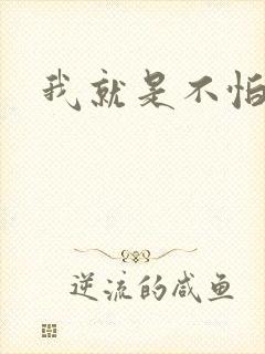 我就是不怕小说