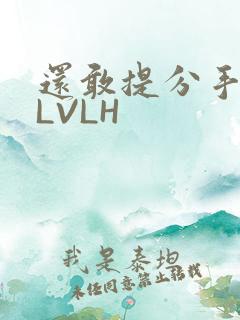 还敢提分手吗嗯LVLH