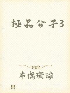 极品公子3