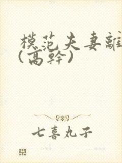 模范夫妻离婚了(高干)