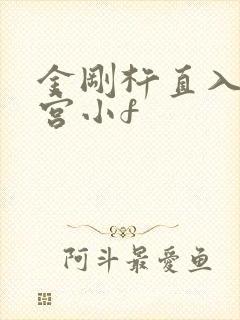 金刚杵直入莲花宫小f