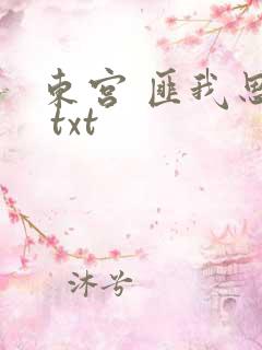 东宫 匪我思存 txt
