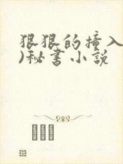 狠狠的撞入(h)秘书小说