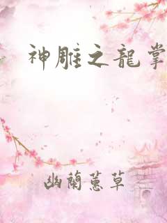 神雕之龙掌门