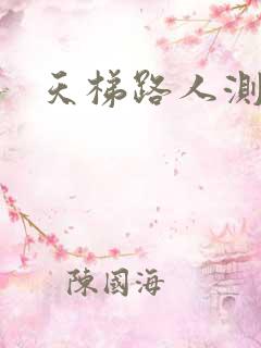 天梯路人测试器