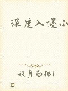 深度入侵小说