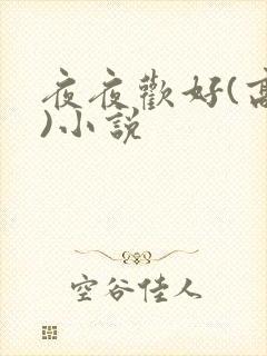 夜夜欢好(高h)小说