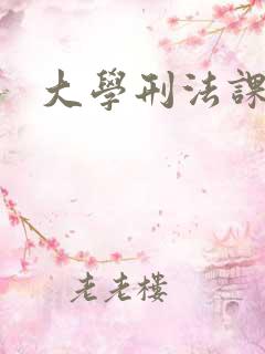 大学刑法课