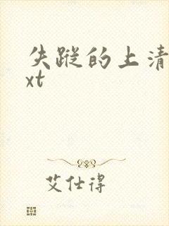 失踪的上清寺txt