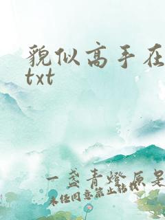 貌似高手在异界txt
