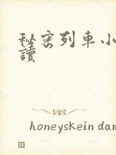 秘密列车小说阅读