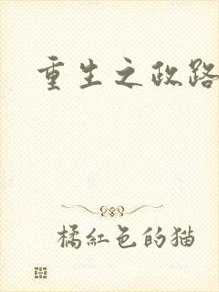重生之政路风流
