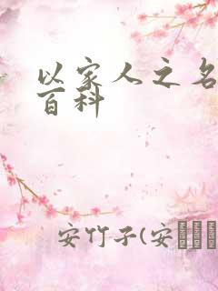 以家人之名百度百科