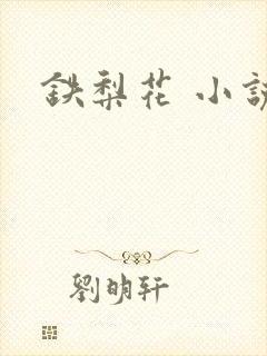 铁梨花 小说