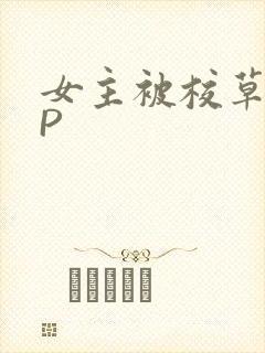 女主被校草们NP