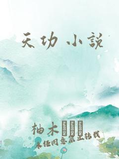 天功 小说