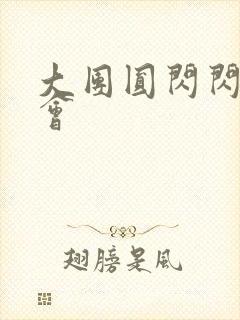 大团圆闪闪相亲会