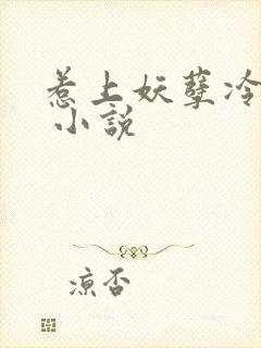 惹上妖孽冷殿下 小说