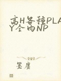 高H各种PLAY全肉NP