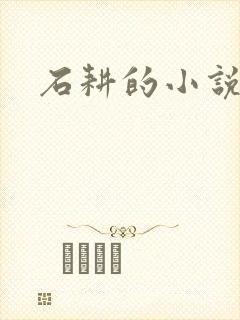 石耕的小说